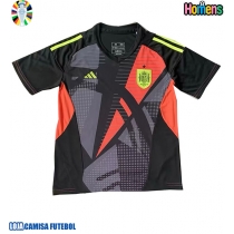 Camisa de Futebol Espanha Goleiro Equipamento Secundário Europeu 2024 Manga Curta